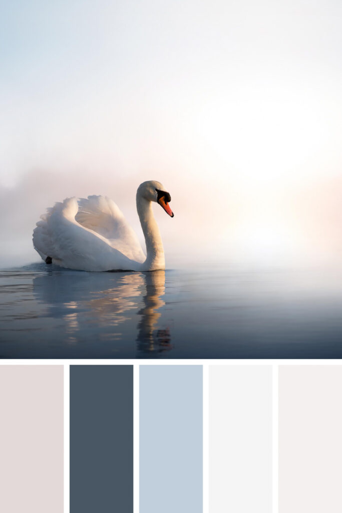 White palette collage