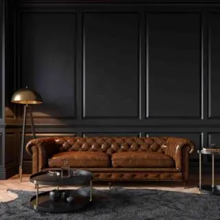 Modern classic black interior with brown couch