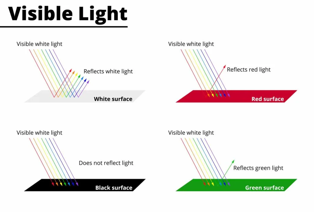 Visible light reflected and absorbed